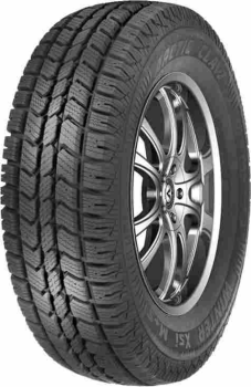 Зимняя шина INTERSTATE ARCTIC CLAW WINTER XSI шип