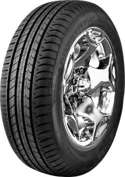 Летняя шина INTERSTATE IST-31